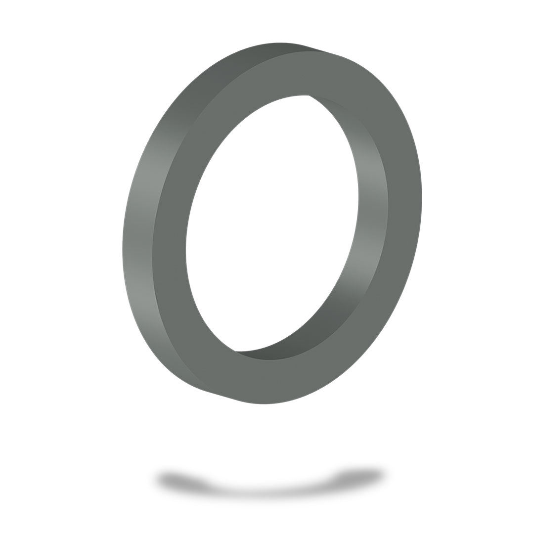 Кольцо уплотнительное для БРС Ду50 Ру1.6, 2.5, 4.0 МПа